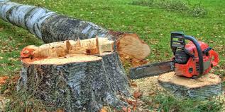 Best Emergency Tree Removal  in Inverness, IL