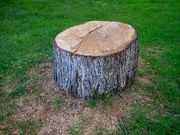Best Firewood Processing and Delivery  in Inverness, IL
